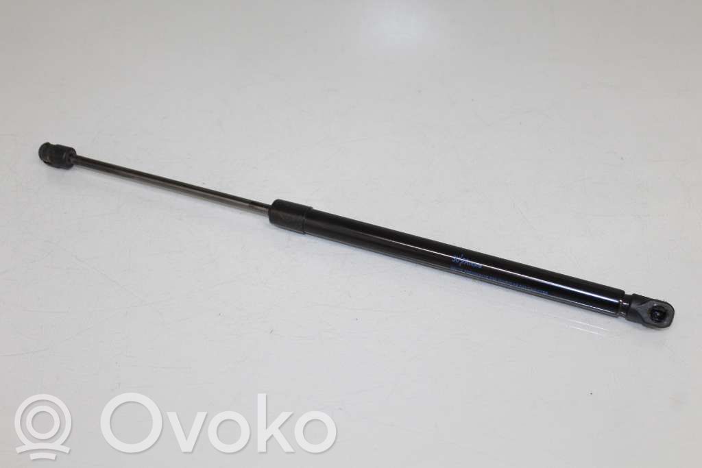 Tailgate strut   844301324R,904508505R