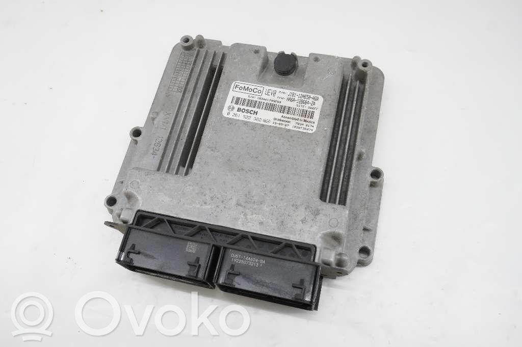 Ford Fiesta Injection control unit/module 