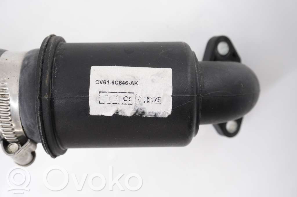Ford C-MAX II Furtun/conductă intercooler 