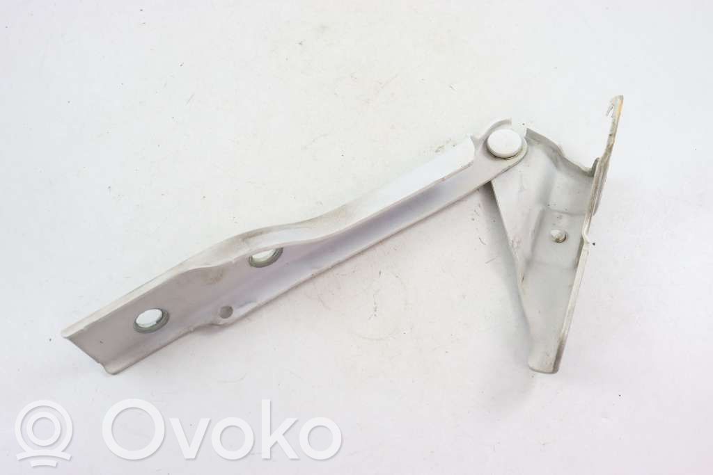 Volkswagen Polo V 6R Engine bonnet/hood hinges 