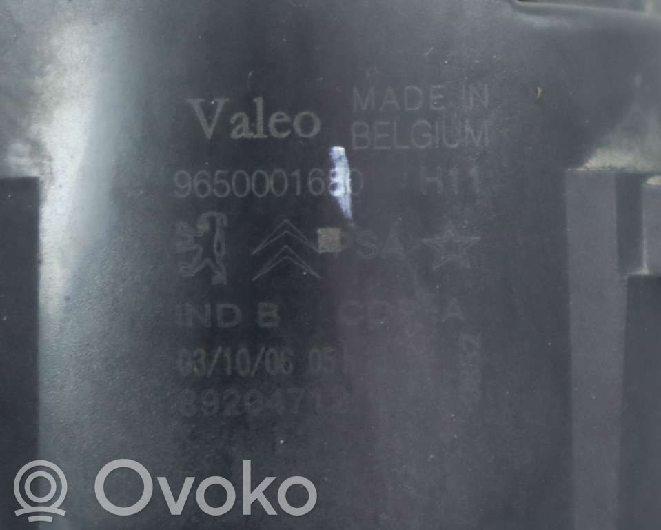 Peugeot 207 Fendinebbia anteriore