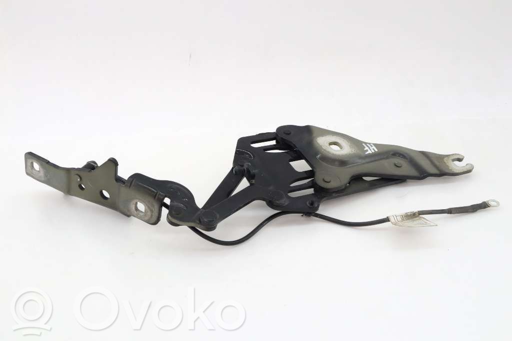 BMW X5 E70 Cerniere del vano motore/cofano