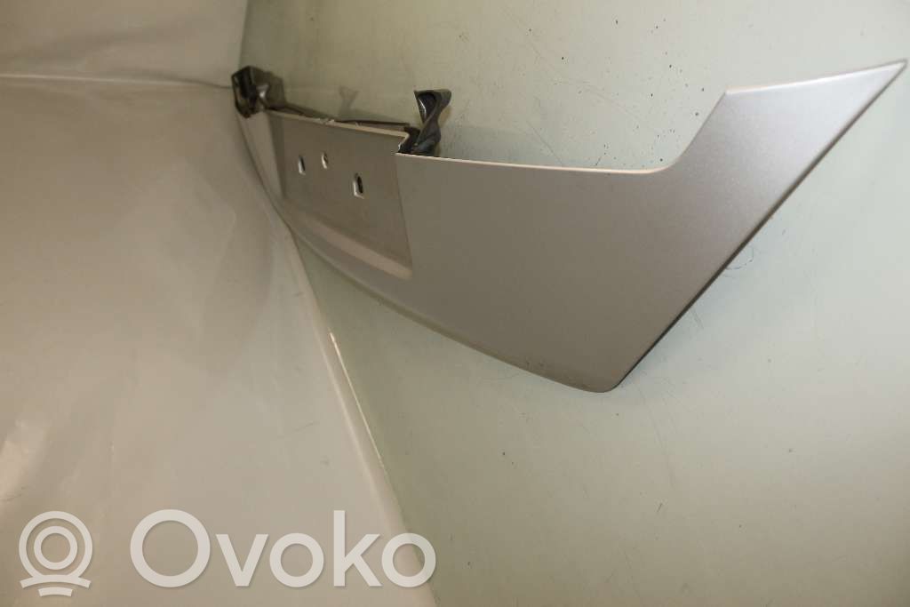 Moldura de la puerta trasera   51137042936