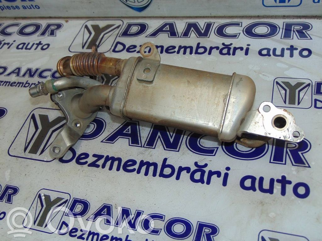Dacia Duster II Refrigerador de la válvula EGR 