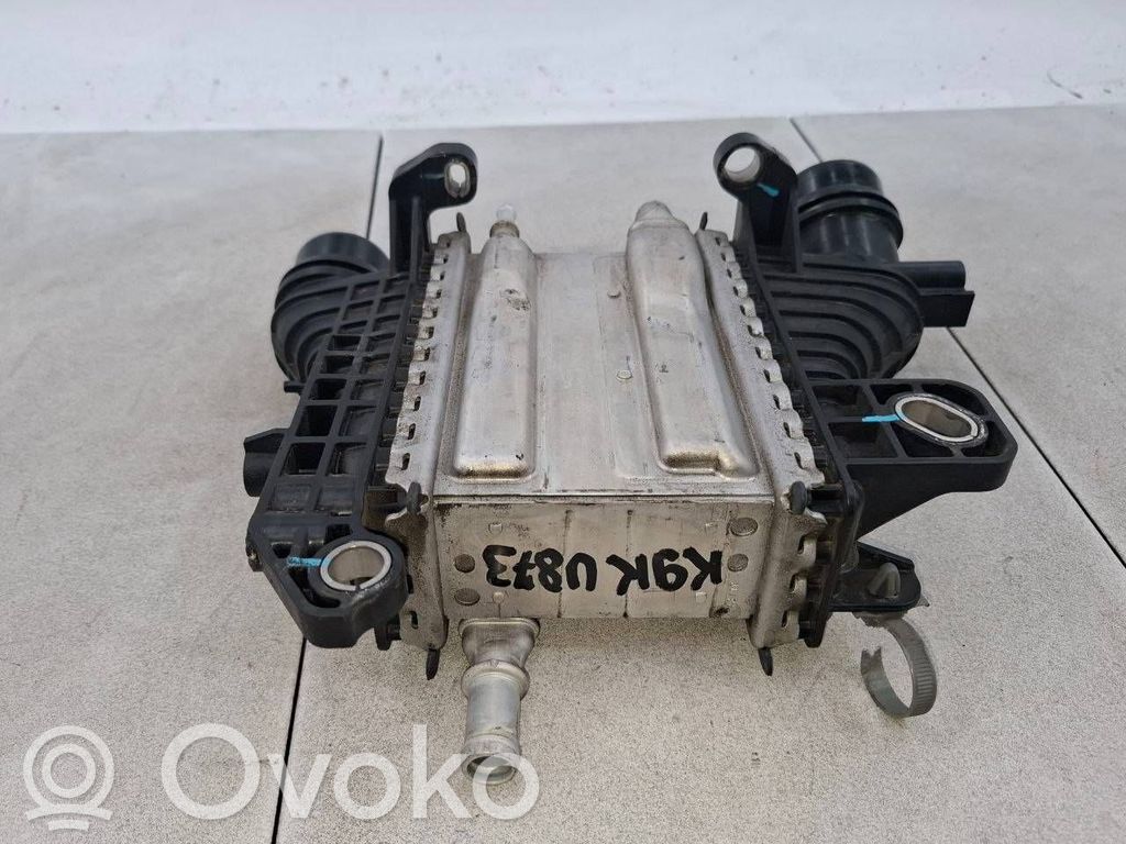 Renault Megane IV Chłodnica powietrza doładowującego / Intercooler 