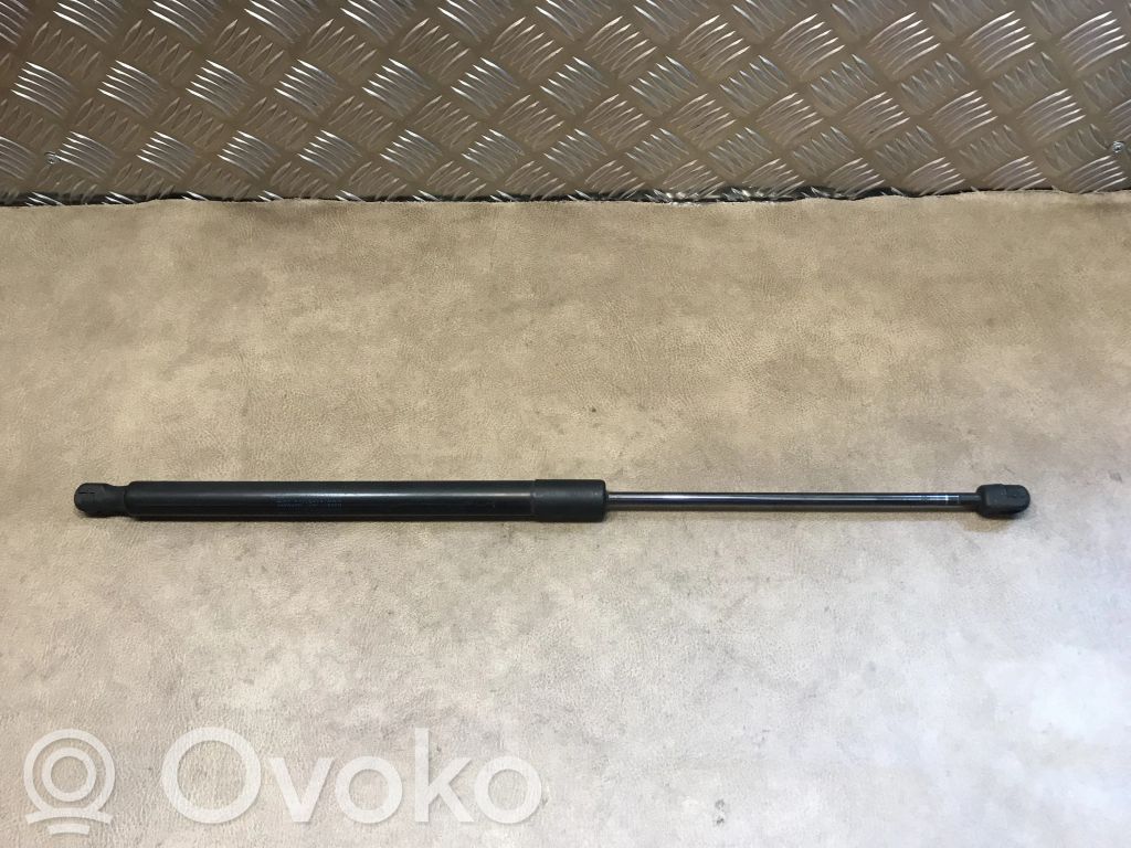 BMW X1 E84 Tailgate/trunk strut/damper 