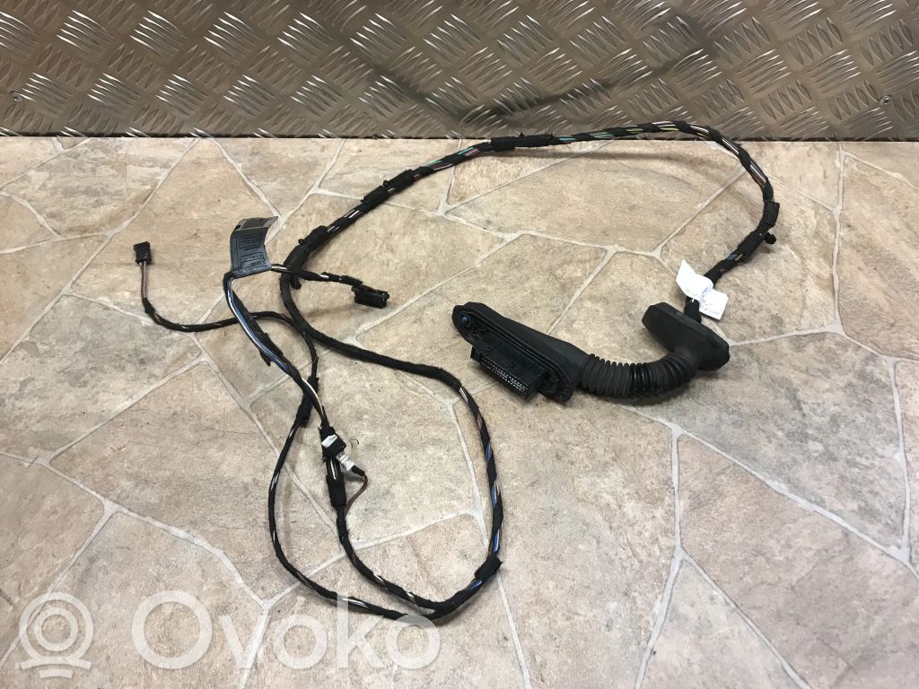 Cableado de puerta trasera   6938249