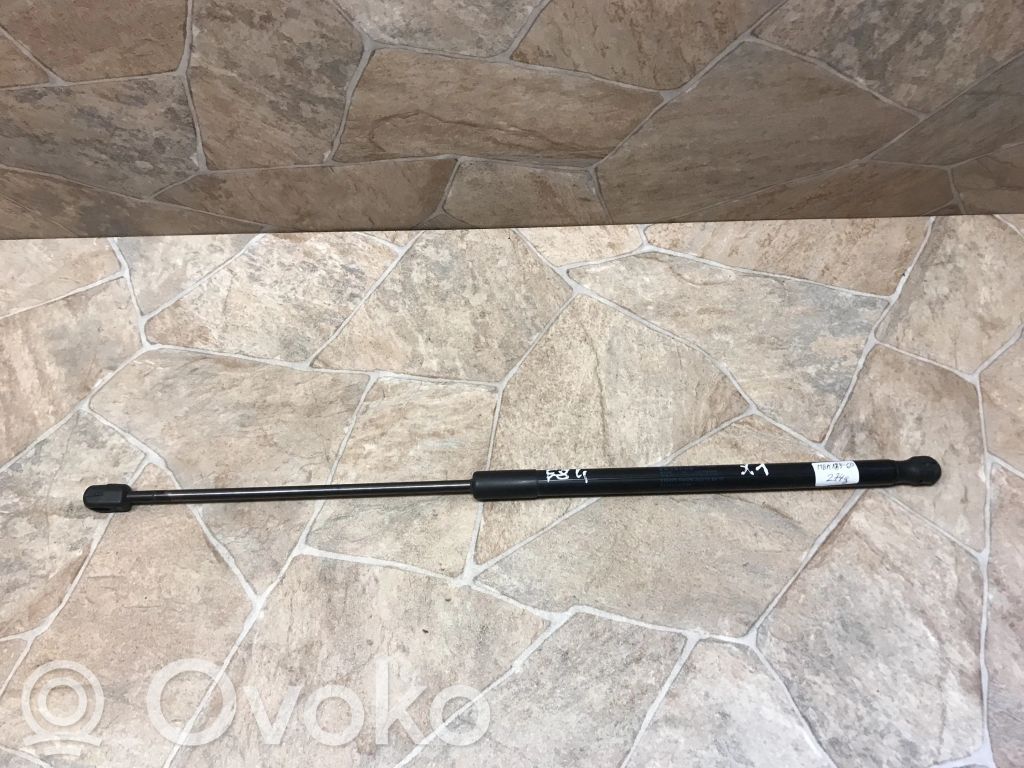 BMW X1 E84 Tailgate/trunk strut/damper 