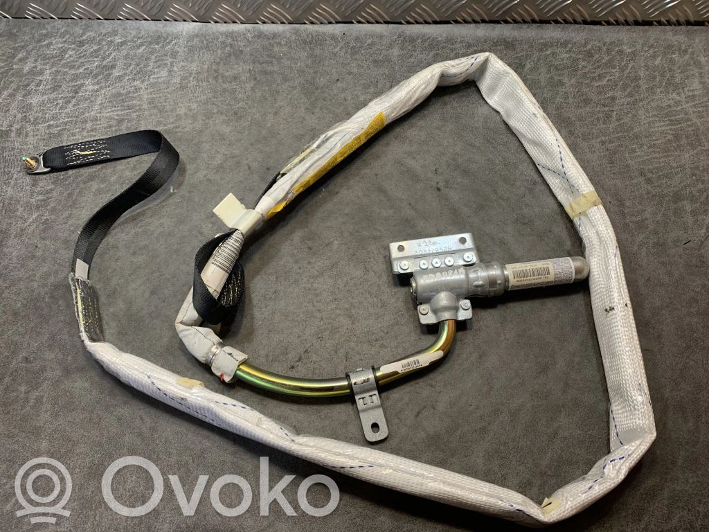 BMW X5 E53 Airbag del techo 