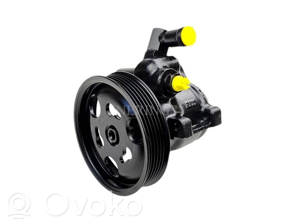 Ford Fiesta Power steering pump 