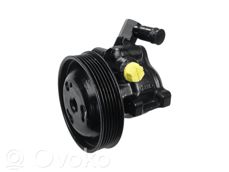 Ford Fiesta Power steering pump 
