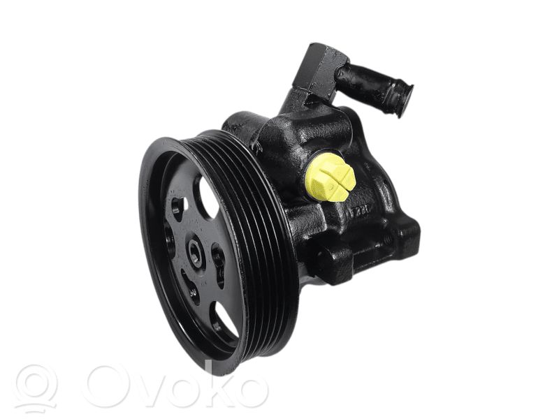 Ford Fiesta Power steering pump 