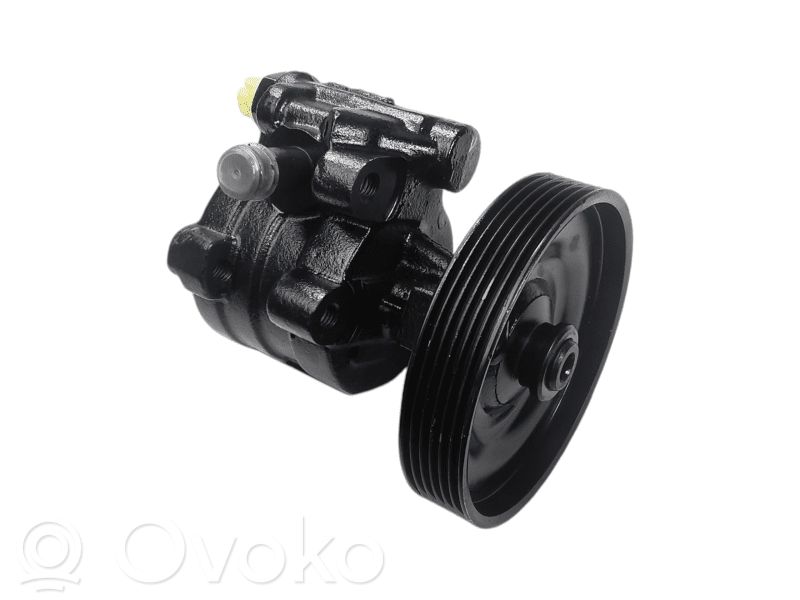 Renault 19 Power steering pump 