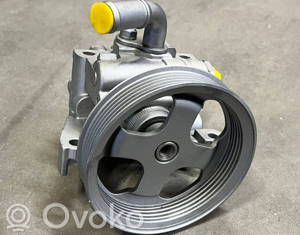 Ford Connect Power steering pump 