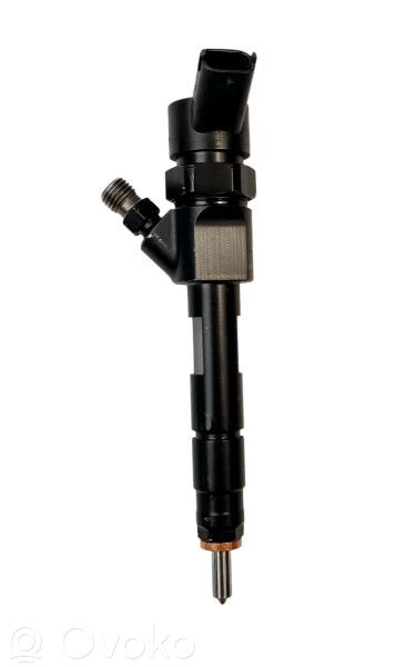 Renault Megane II Injector combustibil 