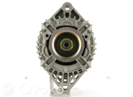 Generatorius   0124525004,CAL40272AS,0124525004BOSCHCN,04557301,20040272AV,211036A,32118506,3EFFE,436451,439012,439244,444605,445075,445076,48944,4G0481,4G0481R,50960,5234026,5234027,5234028,5234029,5234031,5234032,53008647,5540827,56005684,56005685,56005685AB,56027912,835539090050,A0091544202,A12DE0603A2,A6093,A6355,ACUBA0960,AINDE,ALT422720A,ASPL,BOSCH,CAL40272AS,DENSO,DIXIE,ELSTOCK,GA1513,H5540827,KRAUF,LUCAS,NRG21243,NRGV2,POWERMAX,PSH,RL005685AB,SKGN0320481,WG2471244,WG2471295,WG2632449,WG2632450,WILSON,WOODAUTO