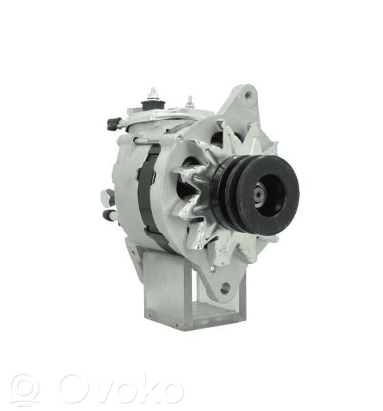 Volkswagen Taro Generator/alternator 