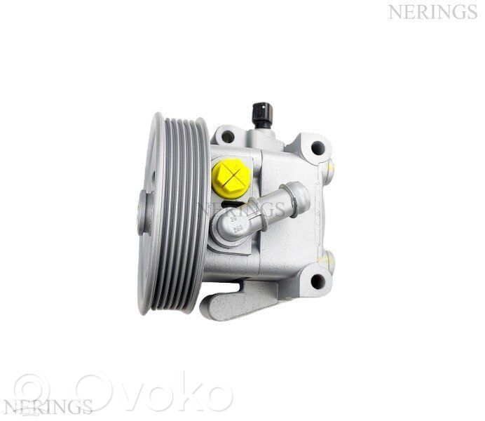 Ford Focus Vairo stiprintuvo siurblys 