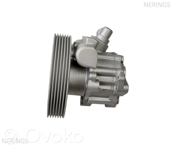Power steering pump   041300428,10SKV100,12H0019,131270,150545,27325,40076A,40077A,4007AV,4007AW,4007EP,4007X8,4007X9,40146310002,480104,715520545,773801,863111,9624660480,9630706380,9633817580,9636086580,9636086680,9640830580,9645006880,9645015180,9647983580,9647983580R,BPG54Z,CSP70136AS,CSP70136GS,HP628,JPR287,JPR458,NRG54488,NRGV2,P102,P141,PH13027,PU00546,SKHP0540019,SOR41300428