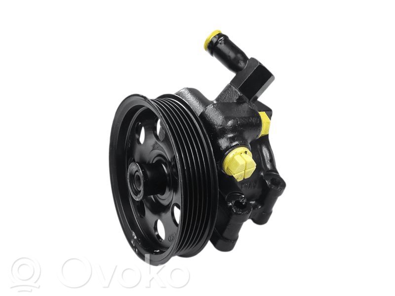 Ford Focus Power steering pump 