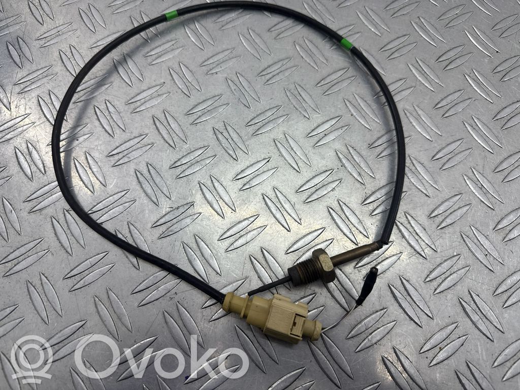 Seat Ateca Sensor de temperatura del escape 