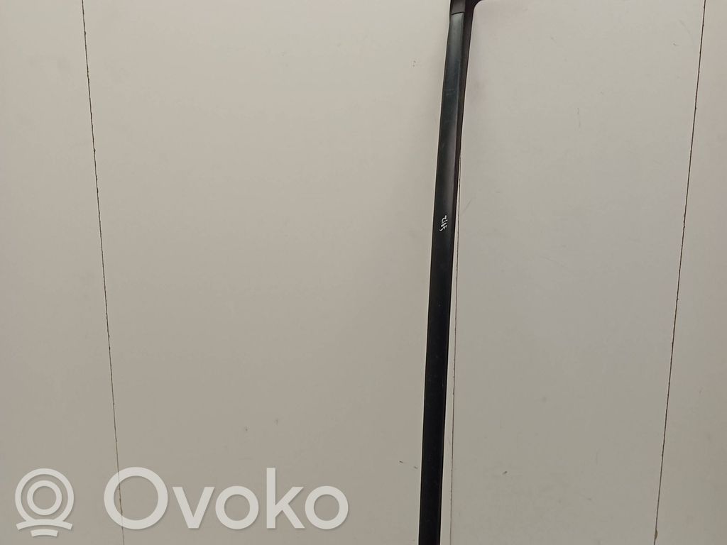 Toyota C-HR I Windshield trim 