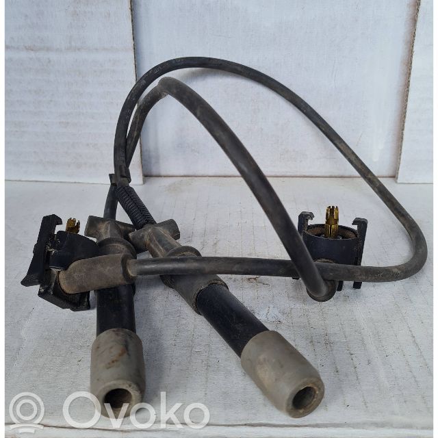 Ignition plug leads