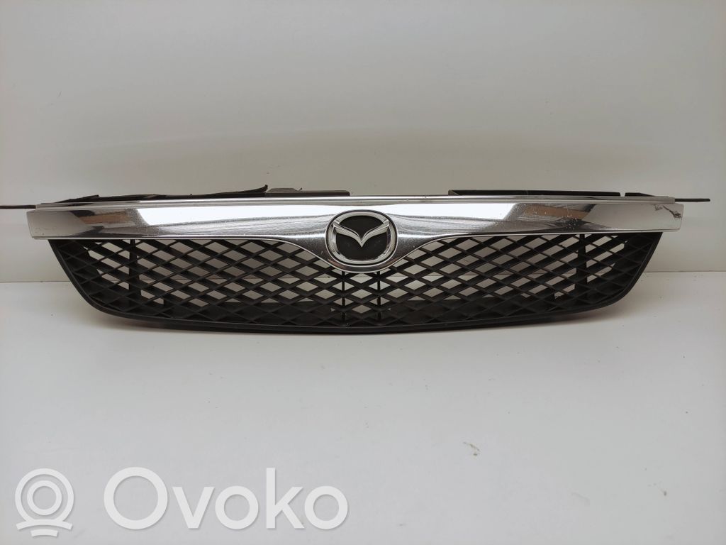 Front grill   B25D50,71271M