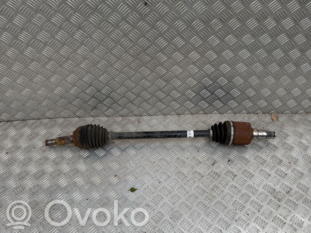Tesla Model X Galinis pusašis 