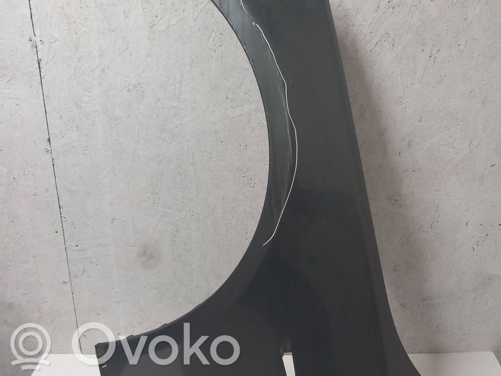 Fender