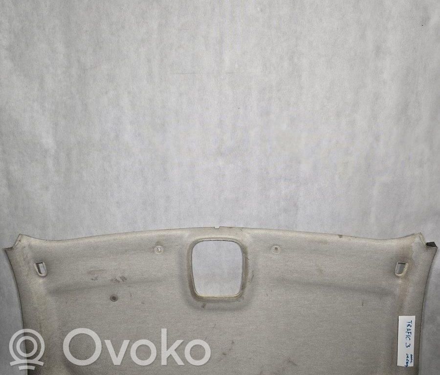 Opel Vivaro Dachhimmel 