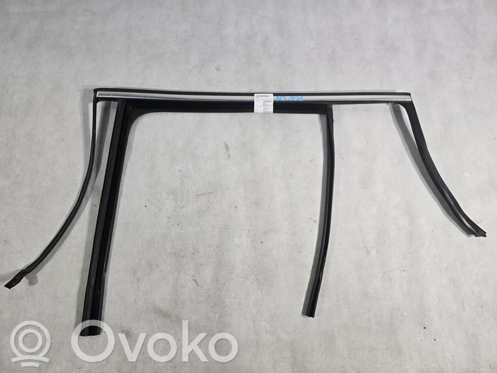 Volkswagen Tiguan Ornament geam ușă spate