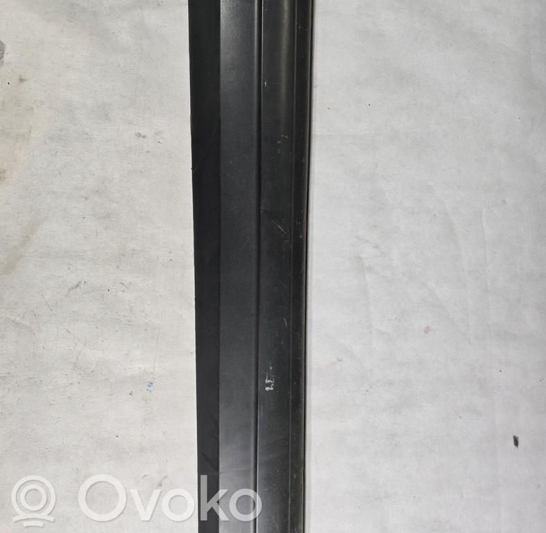 Volkswagen Tiguan Rivestimento della portiera anteriore (modanatura) 