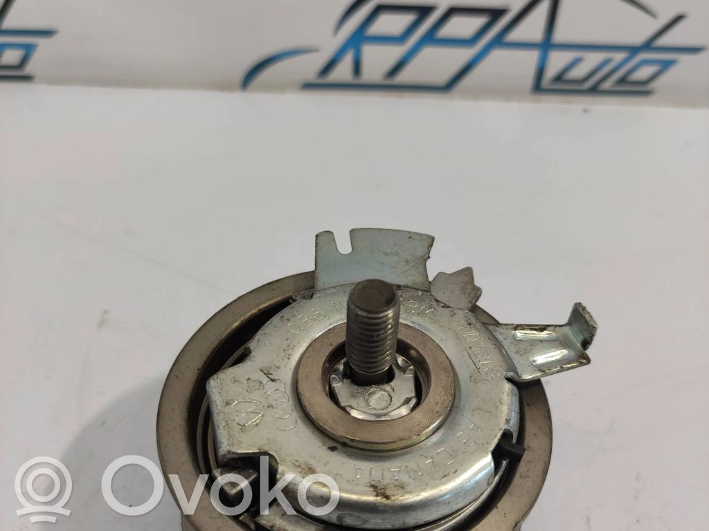 Audi A4 S4 B7 8E 8H Napinacz paska alternatora 