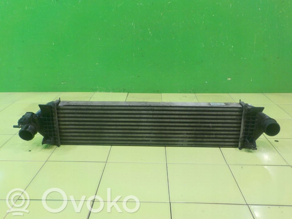 Ford Focus Starpdzesētāja radiators 