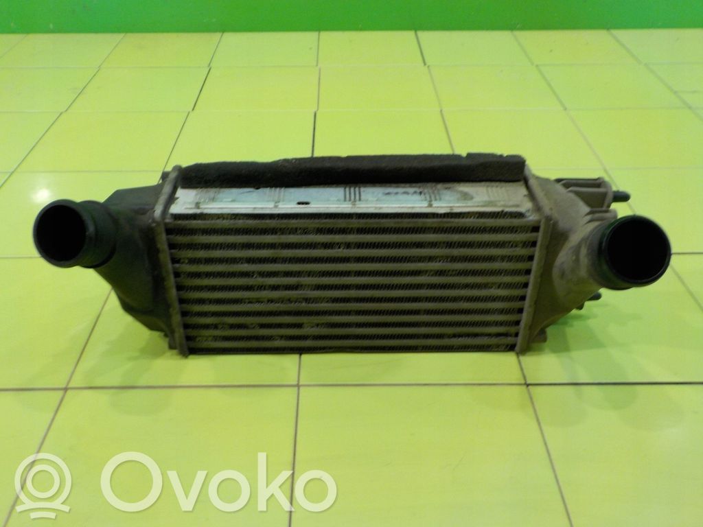 Ford Fiesta Starpdzesētāja radiators 