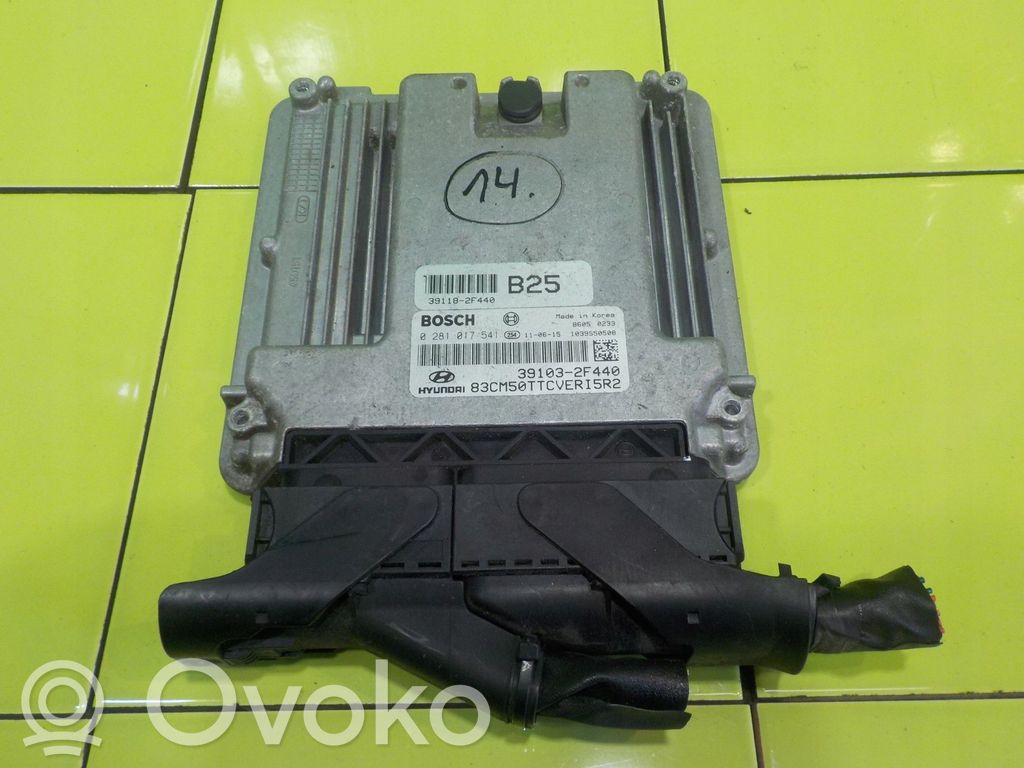 Hyundai Santa Fe Engine control unit/module 