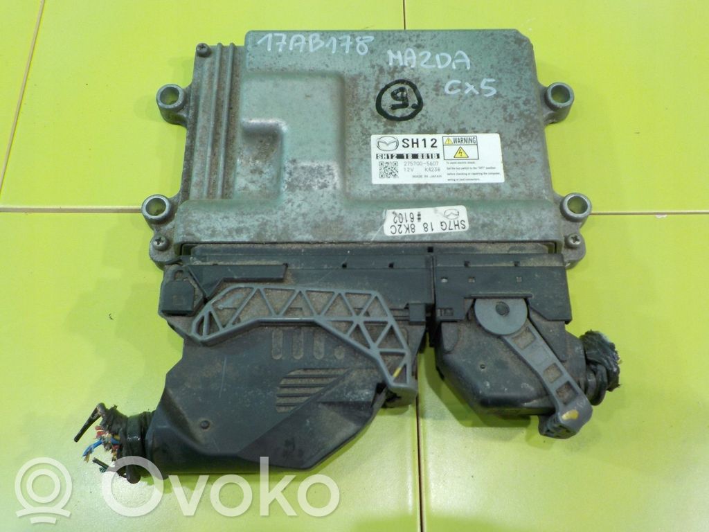 Engine control unit/module   SH1218881B,17AB178,275700,2757005607,5607