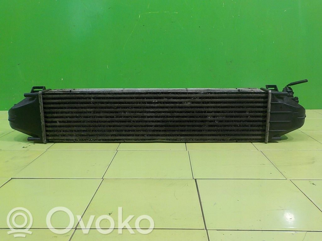 Interkūlerio radiatorius   31338475,14AB95