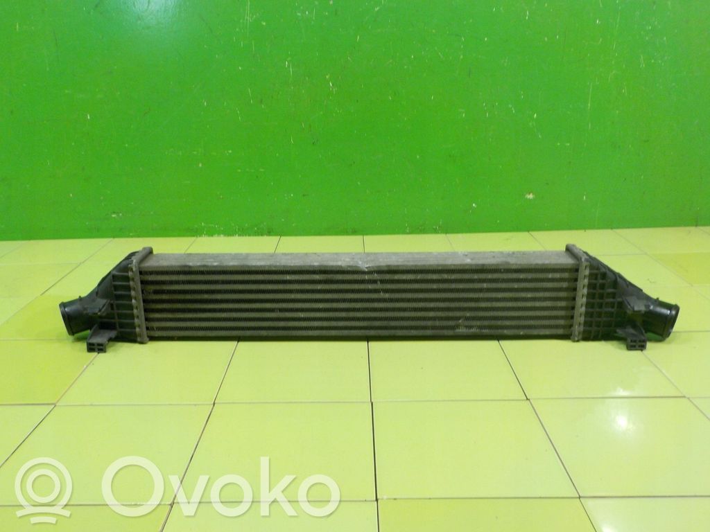 Intercooler radiator   17AB134