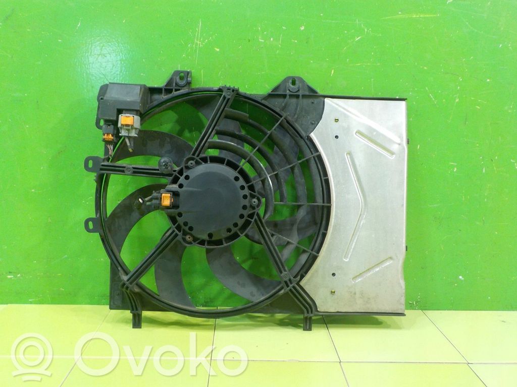 Citroen C4 Cactus Fan set 