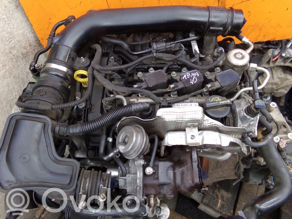 Motor   SFJC,SFJD,19MB40