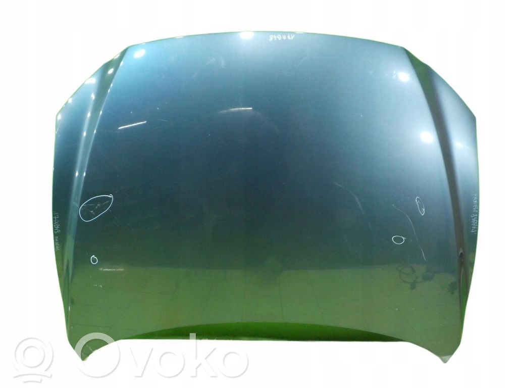 Engine bonnet/hood   17AB48