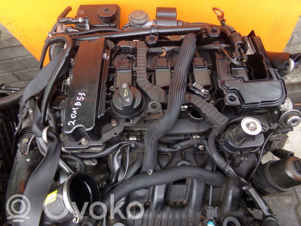 Variklis   271860,20MB53,271860