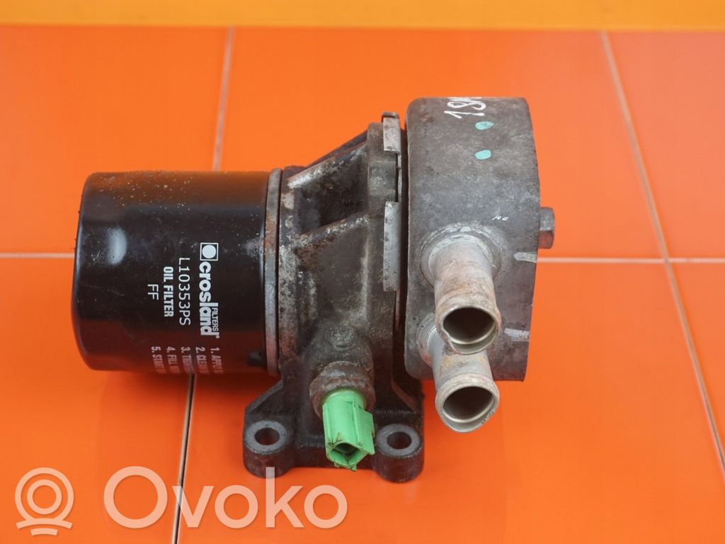 Ford Galaxy Mocowanie / uchwyt filtra oleju 