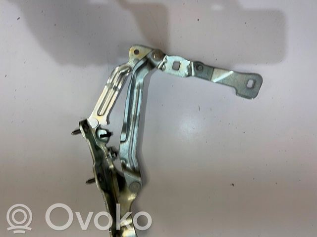 Tesla Model 3 Tailgate/trunk/boot hinge 
