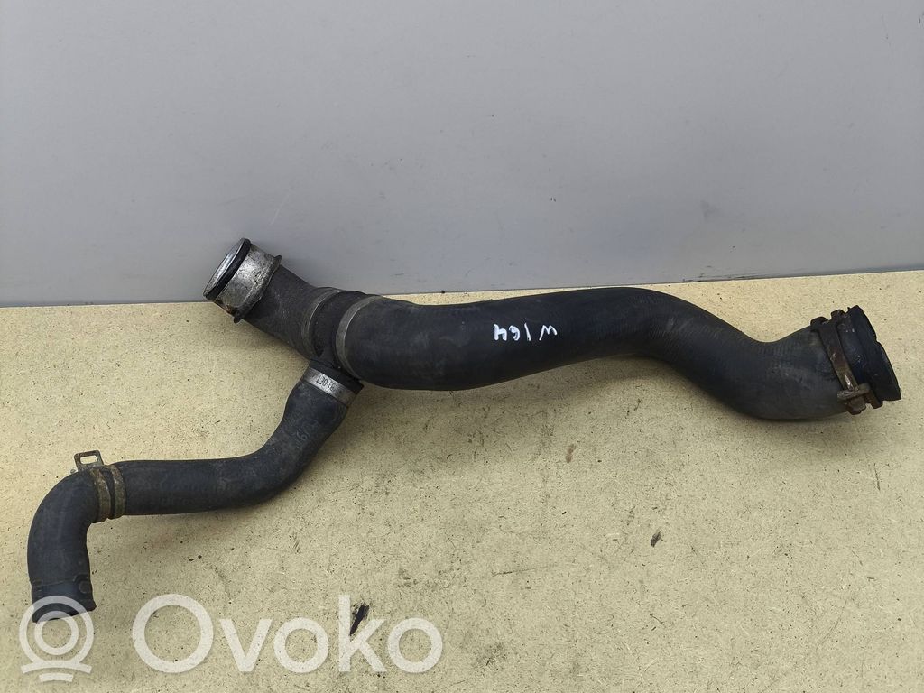 Caurulīte (-es) / šļūtene (-es)   A1645011182,ZGS007,DBL625412