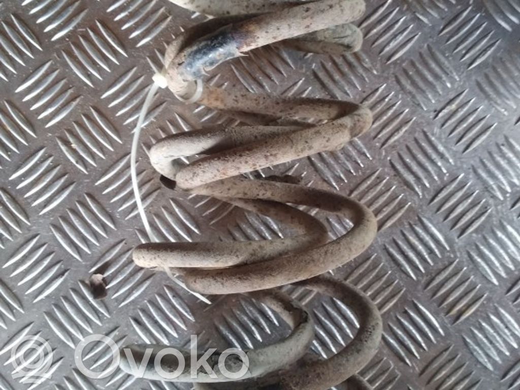 Rear coil spring