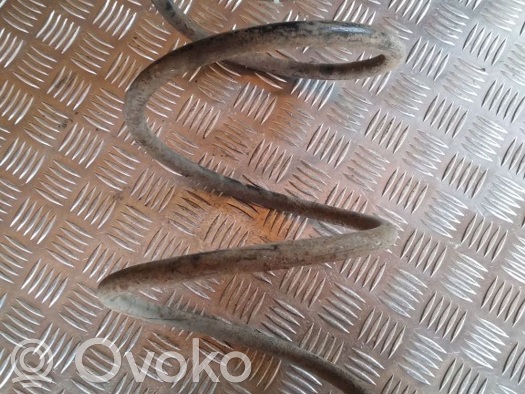 Front coil spring