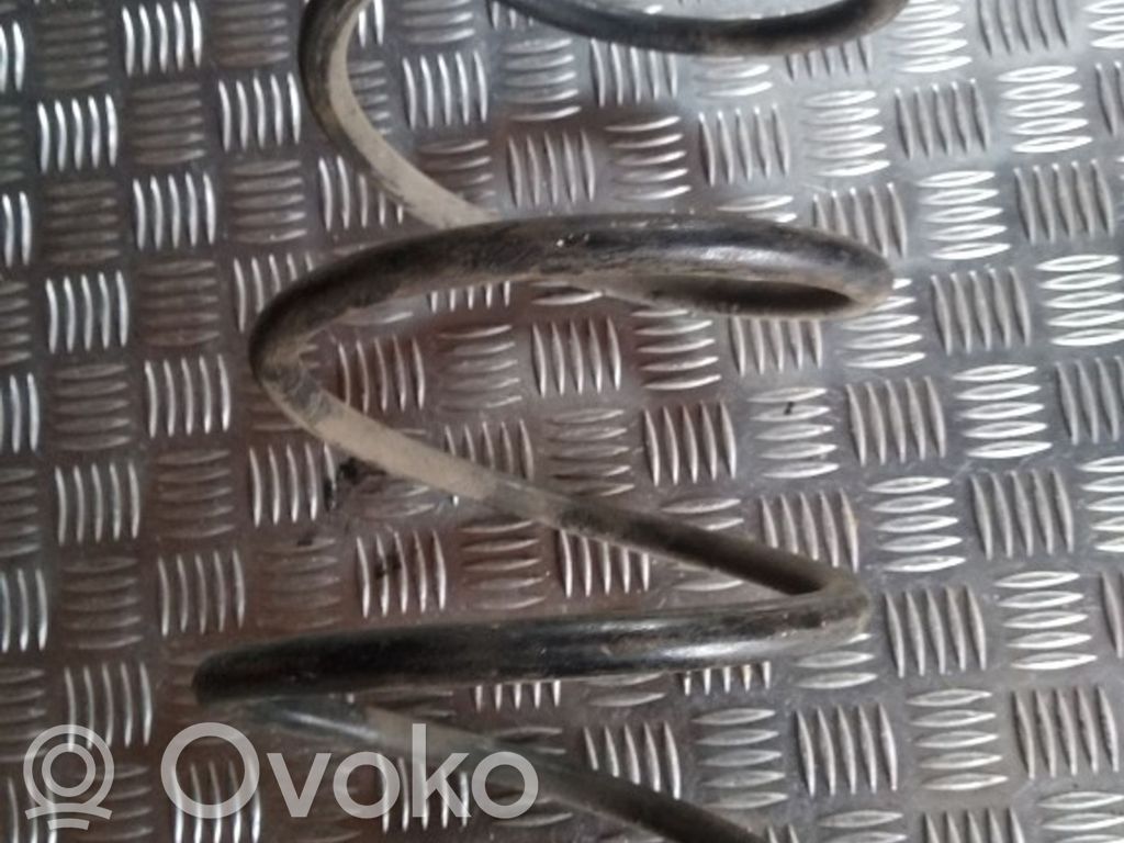 Front coil spring